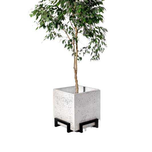 Cubic Planter