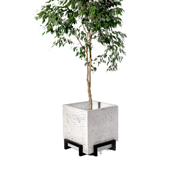 Cubic Planter