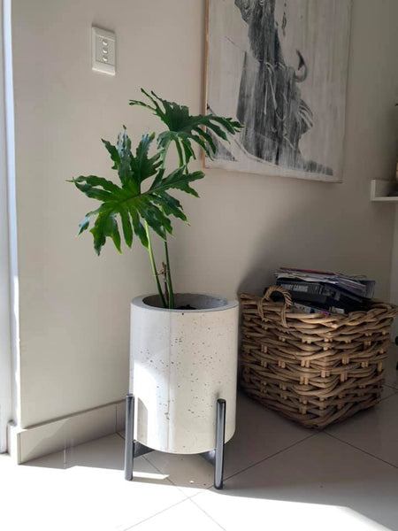 Cylinder Planter