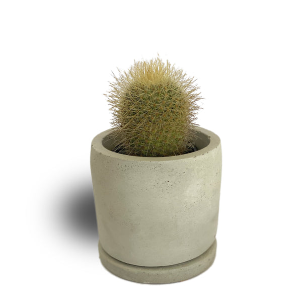 Concrete Pot 8.5cm x 11cm