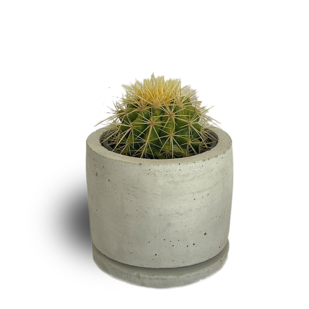 Concrete Pot 13cm x 13cm