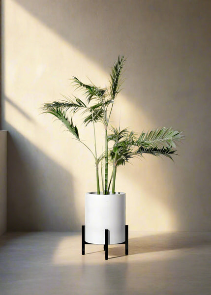 Cylinder Planter